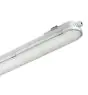 Philips LED Allmänbruksarmatur Vattentät CoreLine WT120C G2 61W 8000lm - 840 Kallvit | 150cm - Dali Dimbar 